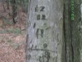 IMGP2761.JPG